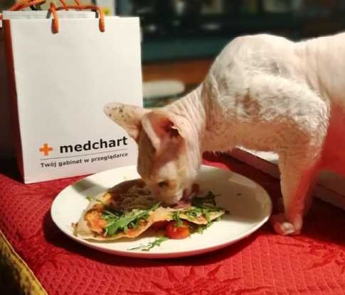 dokumentacja medyczna medchart kot prof lampe chirurg