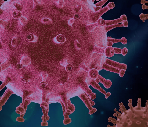 aplikacja protego koronawirus medchart news